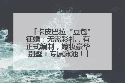 卡皮巴拉“豆包”征婚：无需彩礼，有正式编制，嫁妆豪华别墅＋专属泳池！