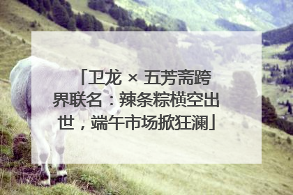 卫龙 × 五芳斋跨界联名：辣条粽横空出世，端午市场掀狂澜