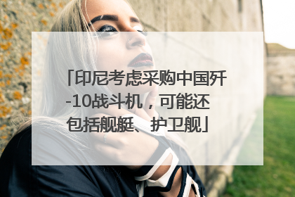 印尼考虑采购中国歼-10战斗机，可能还包括舰艇、护卫舰