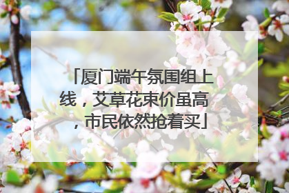厦门端午氛围组上线，艾草花束价虽高，市民依然抢着买