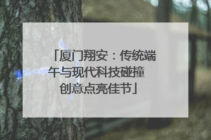 厦门翔安：传统端午与现代科技碰撞 创意点亮佳节