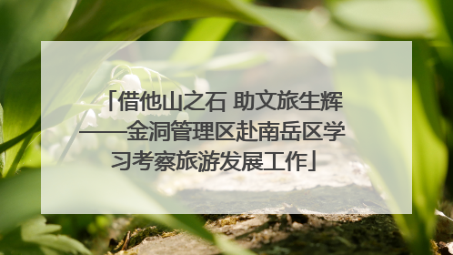 借他山之石 助文旅生辉——金洞管理区赴南岳区学习考察旅游发展工作
