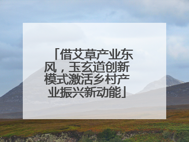 借艾草产业东风，玉玄道创新模式激活乡村产业振兴新动能
