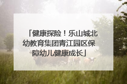 健康探险！乐山城北幼教育集团青江园区保障幼儿健康成长