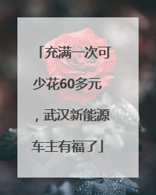 充满一次可少花60多元，武汉新能源车主有福了