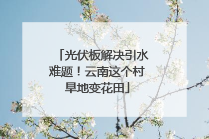 光伏板解决引水难题！云南这个村旱地变花田