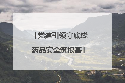 党建引领守底线 药品安全筑根基