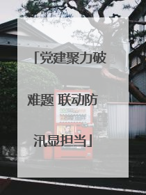 党建聚力破难题 联动防汛显担当