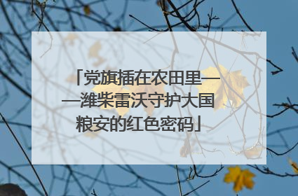 党旗插在农田里——潍柴雷沃守护大国粮安的红色密码