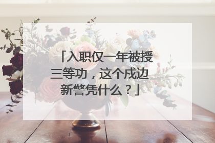 入职仅一年被授三等功，这个戍边新警凭什么？