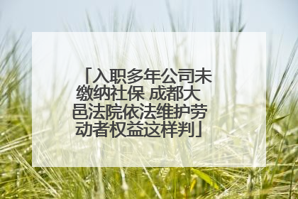 入职多年公司未缴纳社保 成都大邑法院依法维护劳动者权益这样判