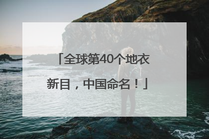 全球第40个地衣新目，中国命名！
