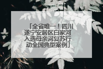 全省唯一！四川遂宁安居区白家河入选母亲河复苏行动全国典型案例