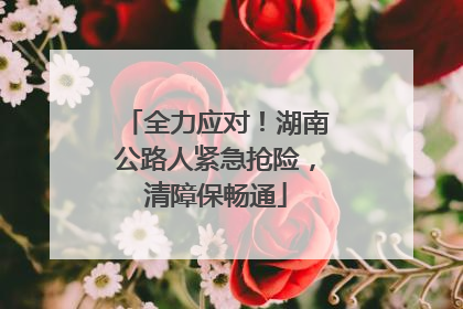 全力应对！湖南公路人紧急抢险，清障保畅通