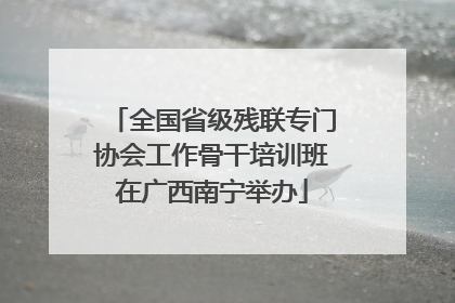 全国省级残联专门协会工作骨干培训班在广西南宁举办