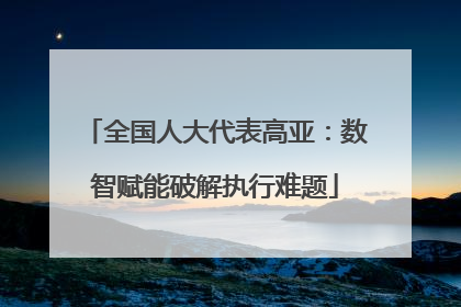 全国人大代表高亚：数智赋能破解执行难题