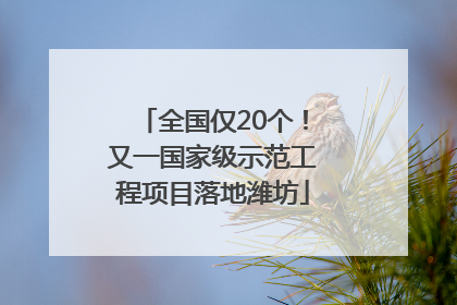 全国仅20个！又一国家级示范工程项目落地潍坊