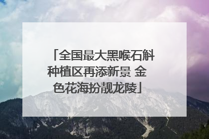 全国最大黑喉石斛种植区再添新景 金色花海扮靓龙陵