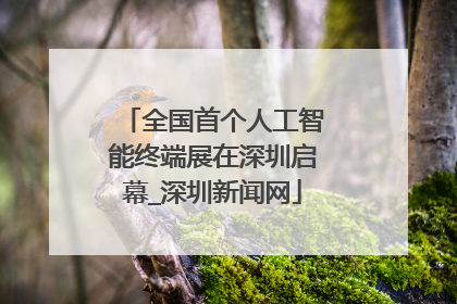 全国首个人工智能终端展在深圳启幕_深圳新闻网