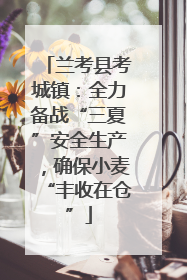 兰考县考城镇：全力备战“三夏”安全生产，确保小麦“丰收在仓”