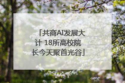 共商AI发展大计 18所高校院长今天聚首光谷