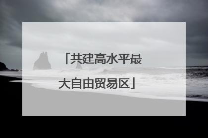 共建高水平最大自由贸易区