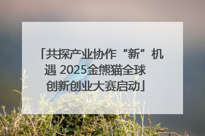 共探产业协作“新”机遇 2025金熊猫全球创新创业大赛启动