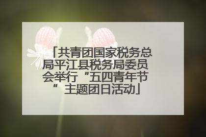 共青团国家税务总局平江县税务局委员会举行“五四青年节”主题团日活动