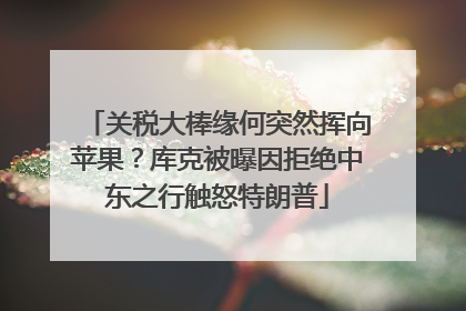 关税大棒缘何突然挥向苹果？库克被曝因拒绝中东之行触怒特朗普