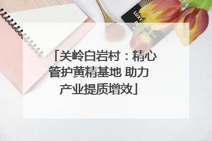 关岭白岩村：精心管护黄精基地 助力产业提质增效