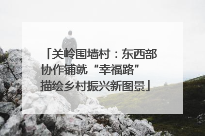 关岭围墙村：东西部协作铺就“幸福路” 描绘乡村振兴新图景