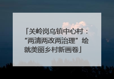 关岭岗乌镇中心村：“两清两改两治理”绘就美丽乡村新画卷
