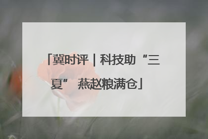 冀时评｜科技助“三夏” 燕赵粮满仓