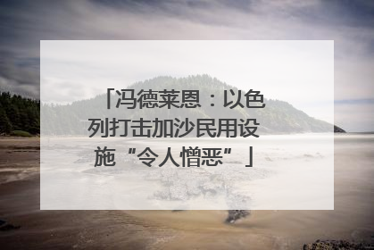 冯德莱恩：以色列打击加沙民用设施“令人憎恶”