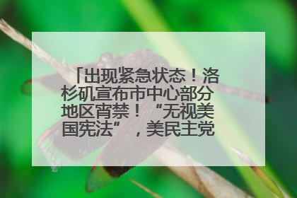 出现紧急状态！洛杉矶宣布市中心部分地区宵禁！“无视美国宪法”，美民主党议员批评特朗普