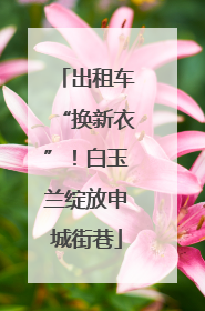 出租车“换新衣”！白玉兰绽放申城街巷