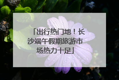 出行热门地！长沙端午假期旅游市场热力十足