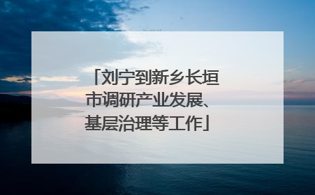 刘宁到新乡长垣市调研产业发展、基层治理等工作