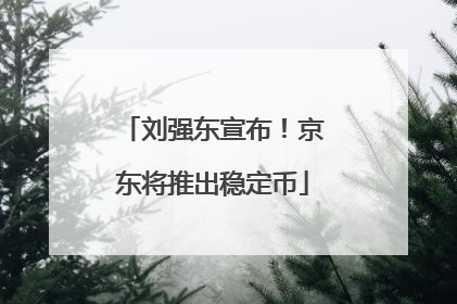 刘强东宣布！京东将推出稳定币