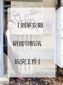 刘革安调研督导防汛抗灾工作