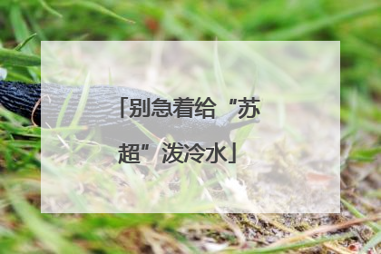 别急着给“苏超”泼冷水