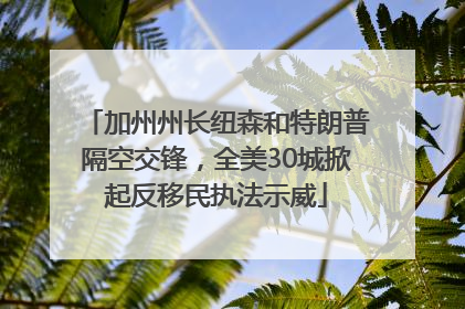 加州州长纽森和特朗普隔空交锋，全美30城掀起反移民执法示威