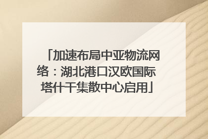 加速布局中亚物流网络：湖北港口汉欧国际塔什干集散中心启用