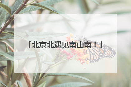 北京北遇见南山南！