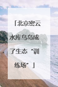 北京密云水库鸟岛成了生态“训练场”
