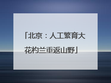 北京：人工繁育大花杓兰重返山野