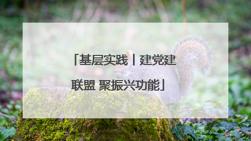 基层实践丨建党建联盟 聚振兴功能