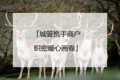 城管携手商户 织密暖心画卷