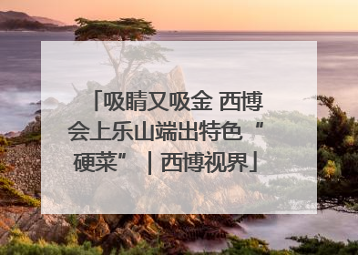 吸睛又吸金 西博会上乐山端出特色“硬菜”｜西博视界