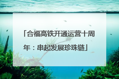 合福高铁开通运营十周年：串起发展珍珠链